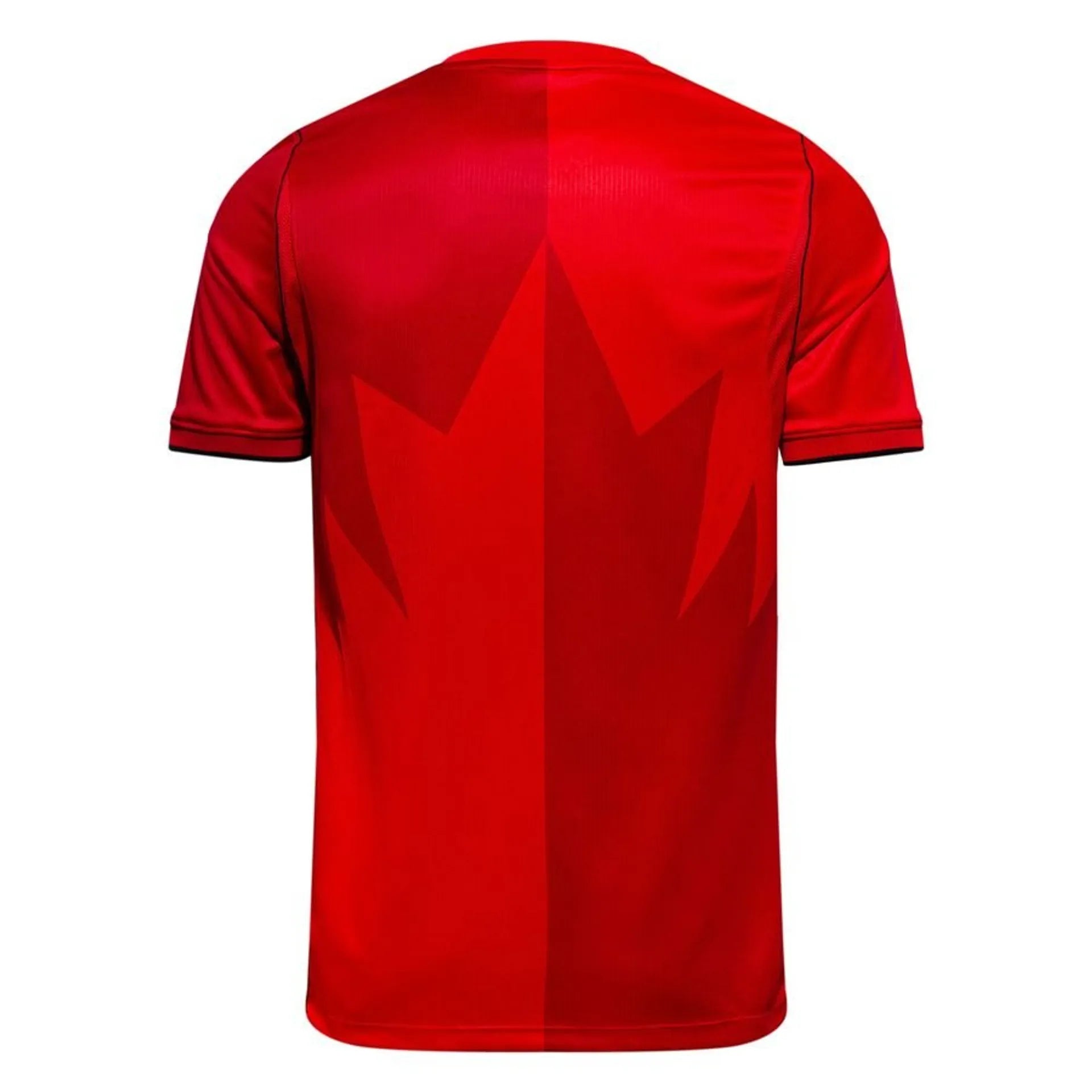 Maillot Domicile Équipe du Canada 2025/26